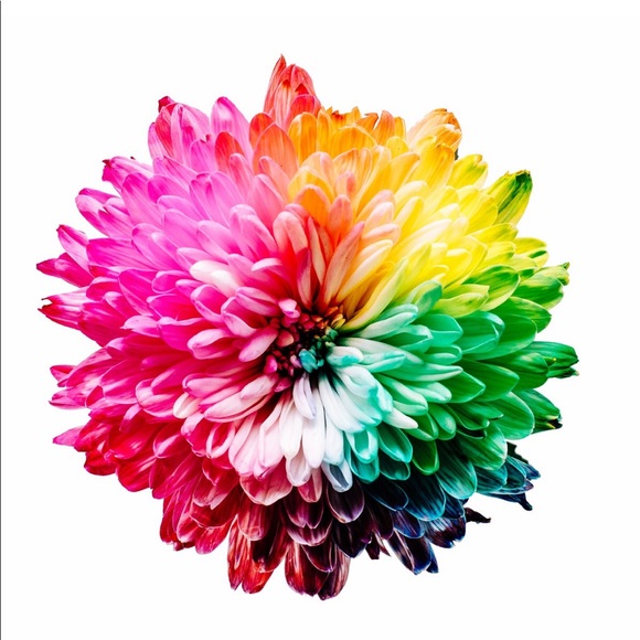 Meet your Posher's, Tonya and Shyanne - Picture 2 of 4